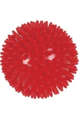 teknotrust Kırmızı El Egzersiz Masaj Ve Duyu Topu, Yumuşak Dikenli Top Kırmızı Renk 9 Cm thumbnail 2