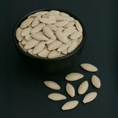 Kabak Çekirdeği Kavrulmuş Tuzlu 10 kg thumbnail 1