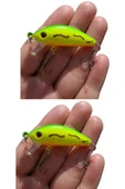 Rapala Lures Yapay Suni Yem Jig YemTurna Levrek Alabalık Yemi MaketBalık 2 Adet 5 Gr thumbnail 4