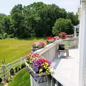 Nettenevime 6lı Set Yapay Çiçek Sazlı Lotus Pembe Renk 7 Dal Plastik  30cm thumbnail 5