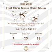 Cattie Havalı Dokuma Kedi Göğüs & Gezdirme Takımı Sarı 1*25-35 cm - 3