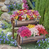 Nettenevime 12li Set Yapay Çiçek Sazlı Mine Karışık Renk 5 Dallı 33cm thumbnail 6