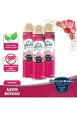 Aerosol Oda Kokusu Aşkın Büyüsü 3 'lü Set - 1