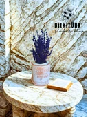 BitkiTÜRK- Kitap beton saksıda lavanta - 1