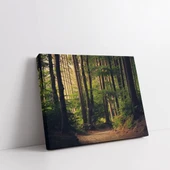 Sessiz Orman Kanvas Tablo thumbnail 2