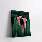 Pembe Zambak Kanvas Tablo thumbnail 2