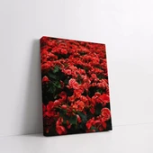 Kırmızı Yapraklı Çiçekler Kanvas Tablo thumbnail 2