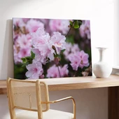 Pembe Açelyalar Kanvas Tablo thumbnail 3