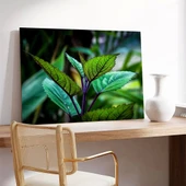 Yaprakların Detayları Kanvas Tablo thumbnail 3