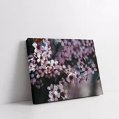 Ağaç Dallarındaki Çiçekler Kanvas Tablo thumbnail 2