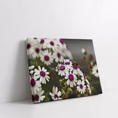 Papatyalar Kanvas Tablo thumbnail 2