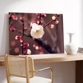 Kiraç Çiçeği Kanvas Tablo thumbnail 3