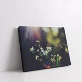 Dallardaki Papatya Kanvas Tablo thumbnail 2