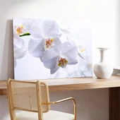 Beyaz Orkide Kanvas Tablo thumbnail 3