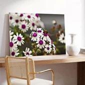 Papatyalar Kanvas Tablo thumbnail 3