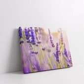 Lavanta Bahçesi Kanvas Tablo thumbnail 2