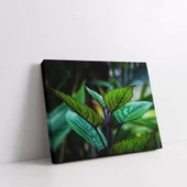 Yaprakların Detayları Kanvas Tablo thumbnail 2