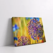 Karahindiba Kanvas Tablo thumbnail 2