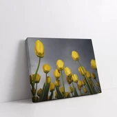 Uzanan Sarı Laleler Kanvas Tablo thumbnail 2