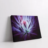 Makro Papatya Kanvas Tablo thumbnail 2