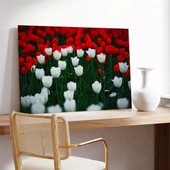 Kırmızı Beyaz Lale Bahçesi Kanvas Tablo thumbnail 3
