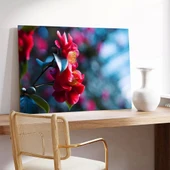Kamelya Çiçeği Kanvas Tablo thumbnail 3