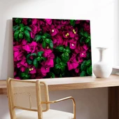 Begonvil Çiçeği Kanvas Tablo thumbnail 3