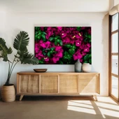 Begonvil Çiçeği Kanvas Tablo thumbnail 1