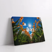 Gökyüzüne Uzanan Sarı Laleler Kanvas Tablo thumbnail 2