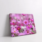 Cosmos Çiçek Kanvas Tablo thumbnail 2