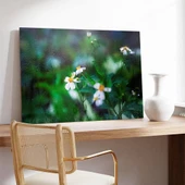 Papatya Kanvas Tablo thumbnail 3