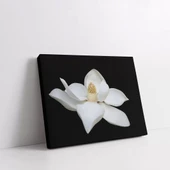 Orkide Kanvas Tablo thumbnail 2