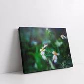 Papatya Kanvas Tablo thumbnail 2