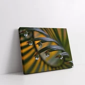 Yapraktaki Akan Su Kanvas Tablo thumbnail 2