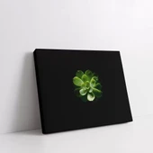 Yapraktaki Damla Kanvas Tablo thumbnail 2