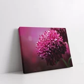 Pembe Çiçek Kanvas Tablo thumbnail 2