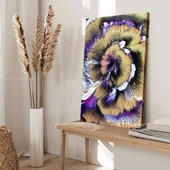 Spiral Güzelliği Kanvas Tablo thumbnail 2