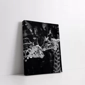 Sallanan Anlar Kanvas Tablo thumbnail 2