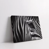 Zebra Desenleri Kanvas Tablo thumbnail 2