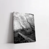 Ormanın Gizemi Kanvas Tablo thumbnail 2