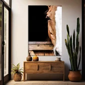 Kahverengi Beyaz At Kanvas Tablo thumbnail 1