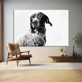 Köpek Portresi Kanvas Tablo thumbnail 1