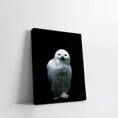 Beyaz Baykuş Kanvas Tablo thumbnail 2