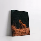 Kahverengi Asil At Kanvas Tablo thumbnail 2