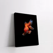 Aslanbaş Balığı Kanvas Tablo thumbnail 2