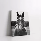 Siyah Beyaz At Kanvas Tablo thumbnail 2