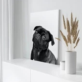 Siyah Pug Köpek Kanvas Tablo thumbnail 3