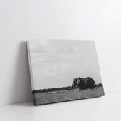 Sakin Suların Öyküsü Kanvas Tablo thumbnail 2