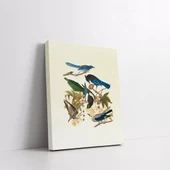 Daldaki Kuşlar Kanvas Tablo thumbnail 2