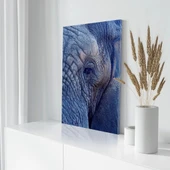 Mavi Fil Kanvas Tablo thumbnail 3